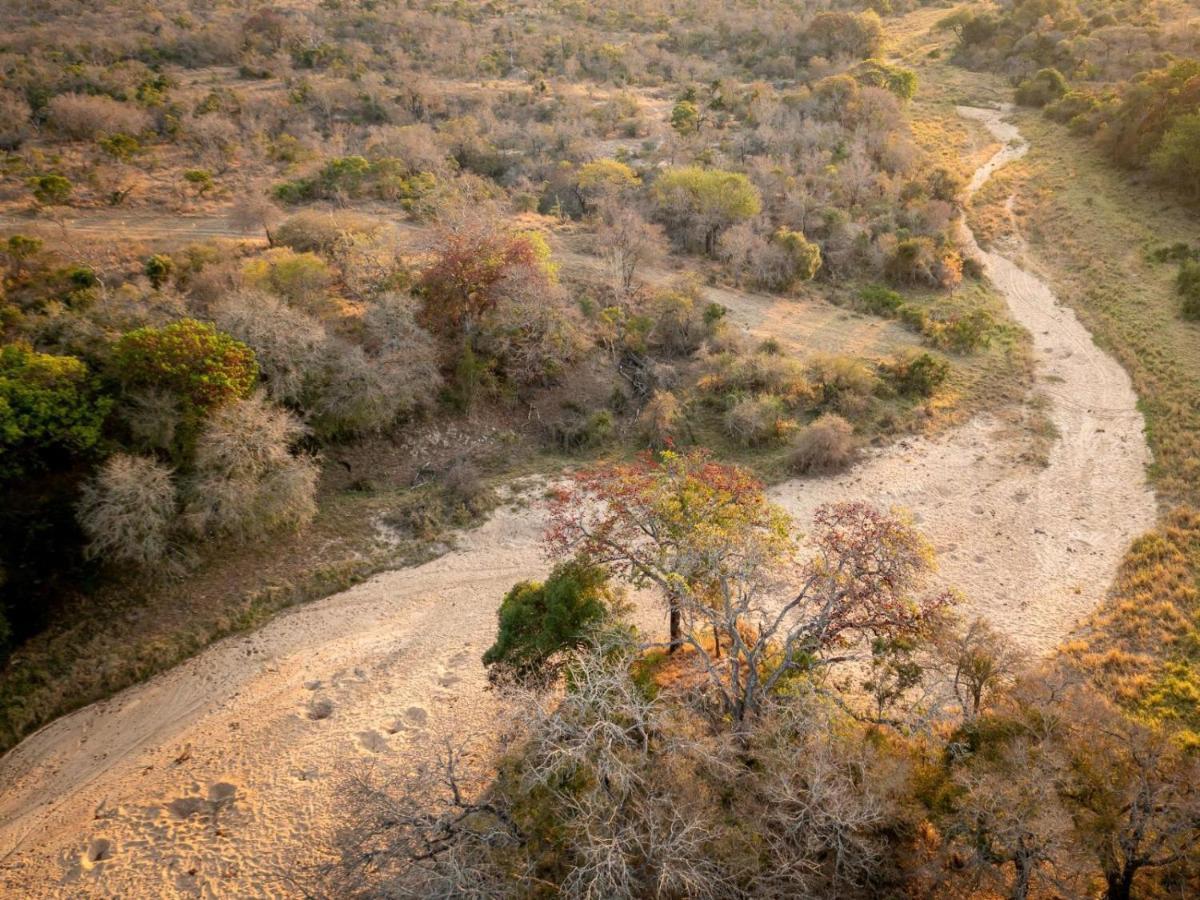 Shimungwe Lodge, Thornybush Game Reserve Hoedspruit Eksteriør bilde