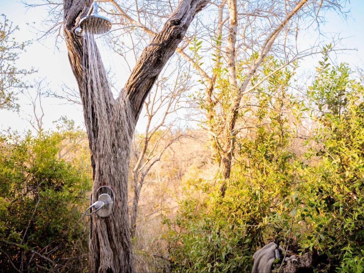 Shimungwe Lodge, Thornybush Game Reserve Hoedspruit Eksteriør bilde